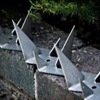 Wall-spikes.jpg SRS Security, razor wire, wall spikes, electric fence, vibricate wall extensions