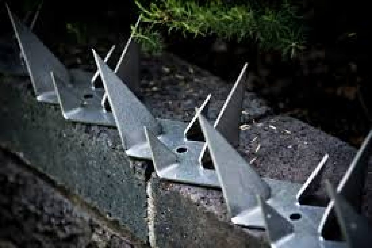 Home SRS Security Wall Security Home Wire Extensions Precast Spikes Razor
