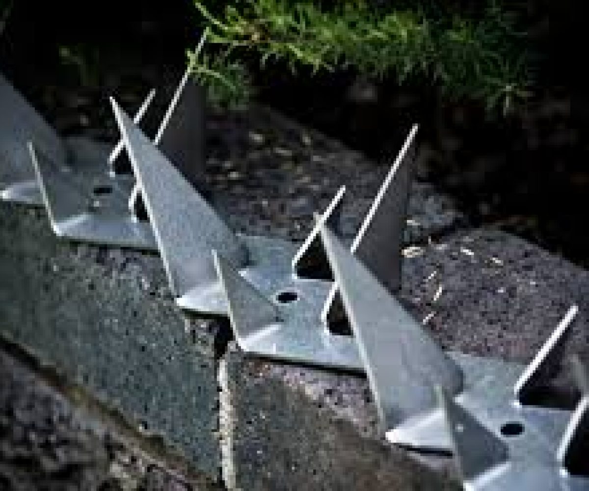 SRS Security, razor wire, wall spikes, electric fence, vibricate wall extensions